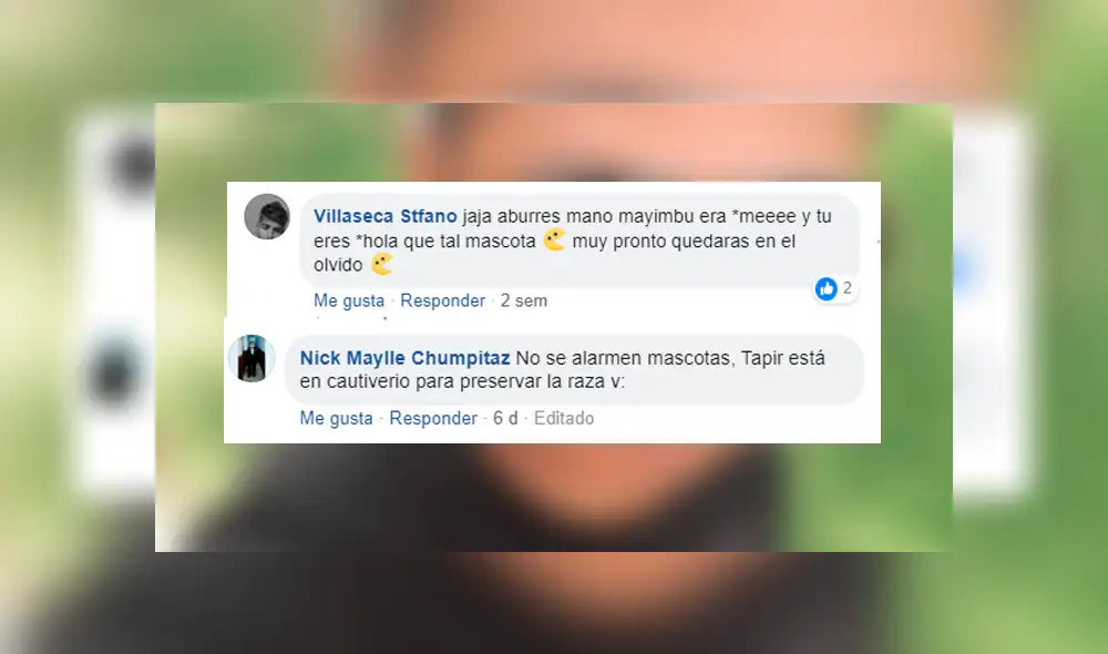 Facebook viral: peruano 'Tapir 590' ya no llama 'mascotas' a sus fans, ahora les dice así [FOTOS]