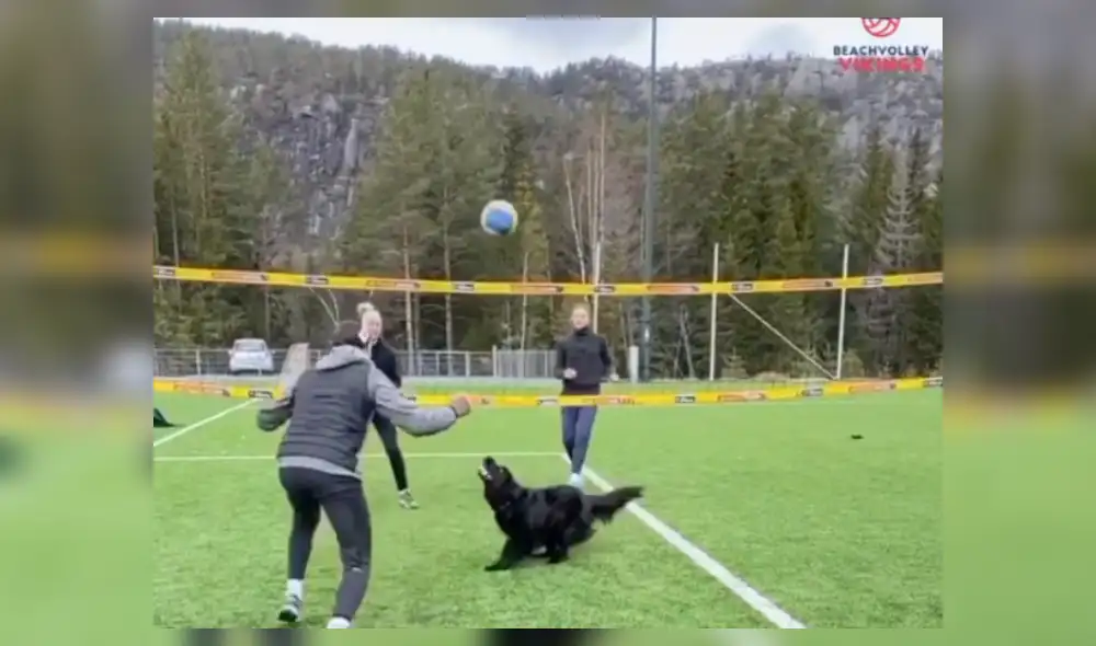 Desliza hacia la izquierda para ver más del video viral. Desliza hacia la izquierda para ver más del video viral.