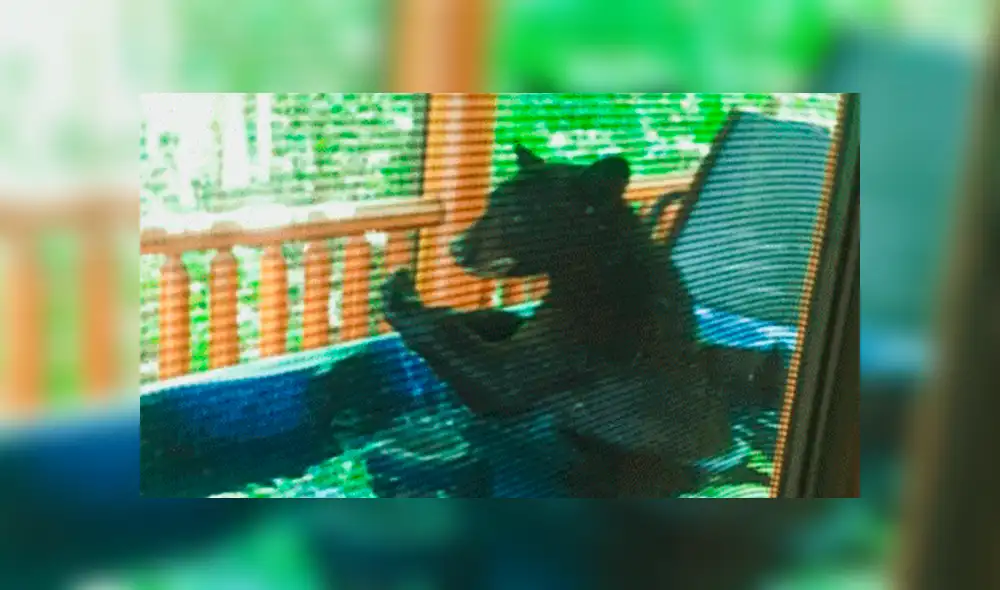 Facebook viral: Novios descubren gigantesca criatura bañándose en su jacuzzi y quedan en shock [VIDEO]