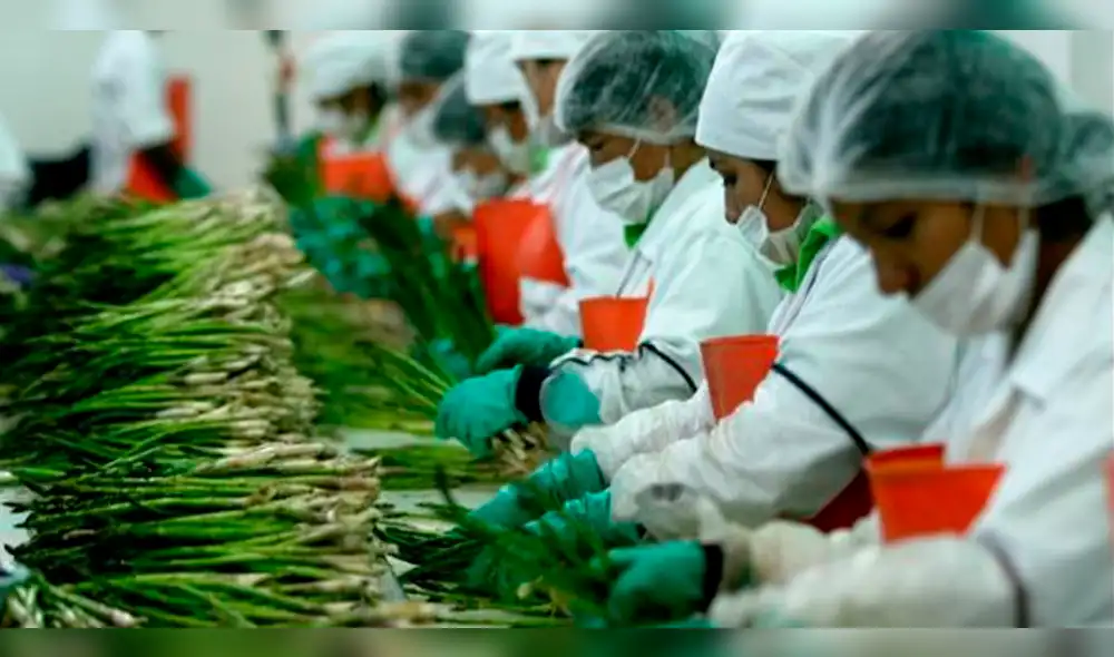 Exportaciones habrían crecido 20% en 2017