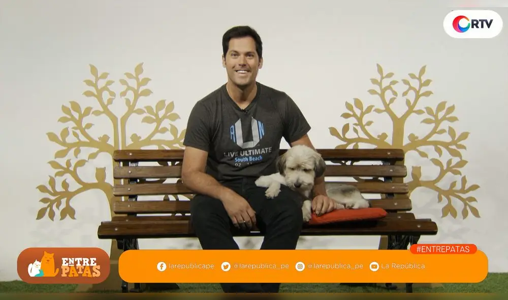 Conoce como evitar las pulgas y garrapatas en tus mascotas- Entre patas