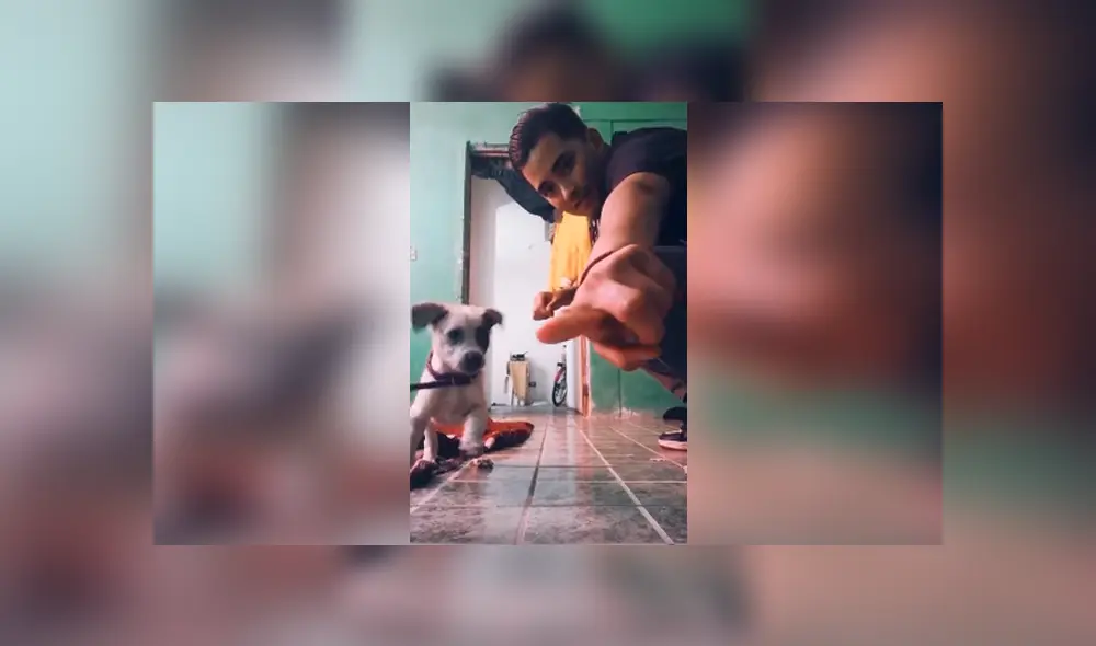 Desliza las imágenes para apreciar la conmovedora escena protagonizada por un joven junto a un perro. Desliza las imágenes para apreciar la conmovedora escena protagonizada por un joven junto a un perro.