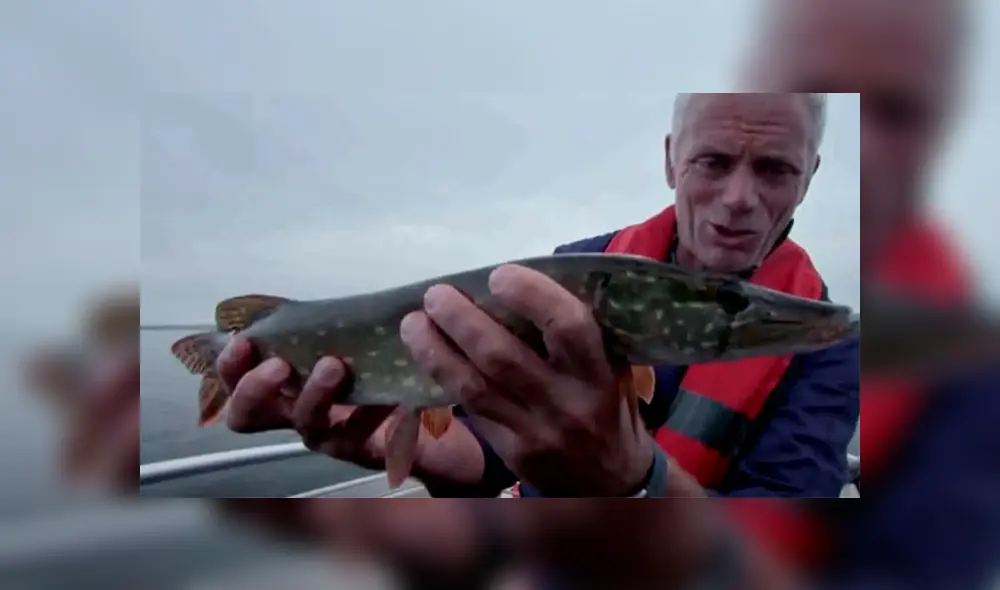 Un pescador profesional acudió a Chernobyl para inspeccionar un lago y encontró un desconcertante animal.