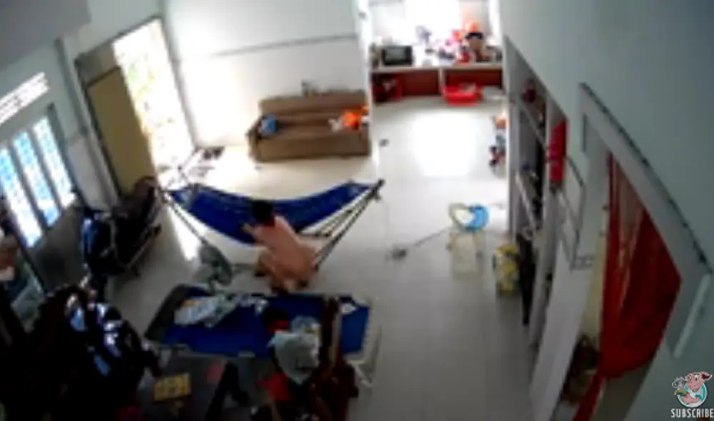 Desliza hacia la izquierda para ver las imágenes del video viral. Foto: captura de YouTube.