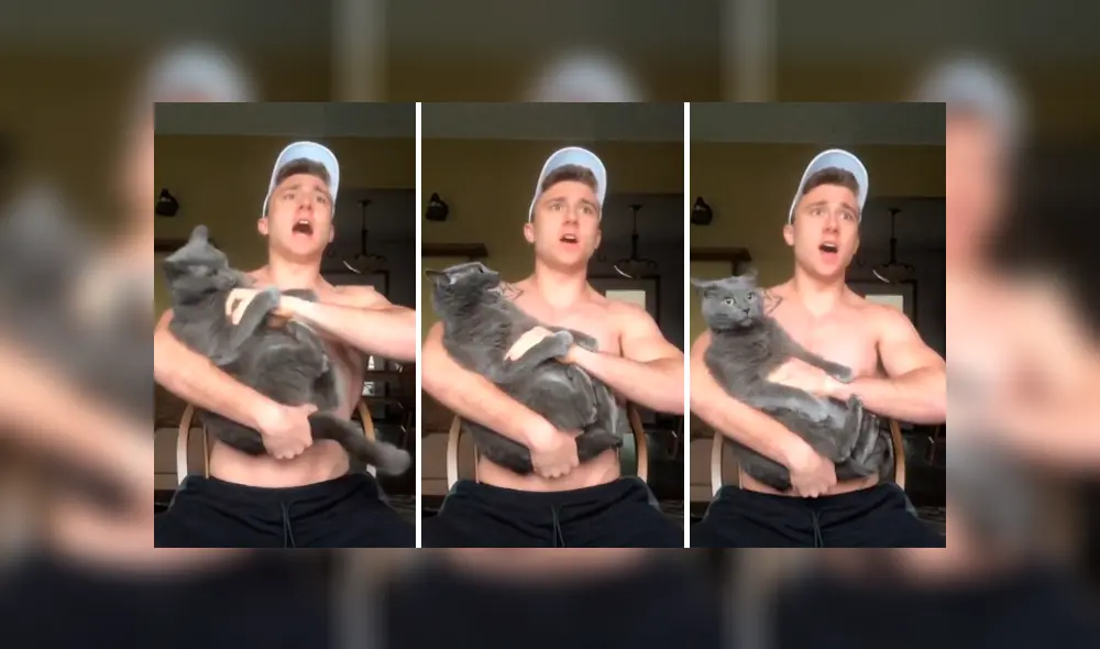 Desliza las imágenes hacia la izquierda para conocer la reacción de un travieso gato al escuchar el canto de su dueño.