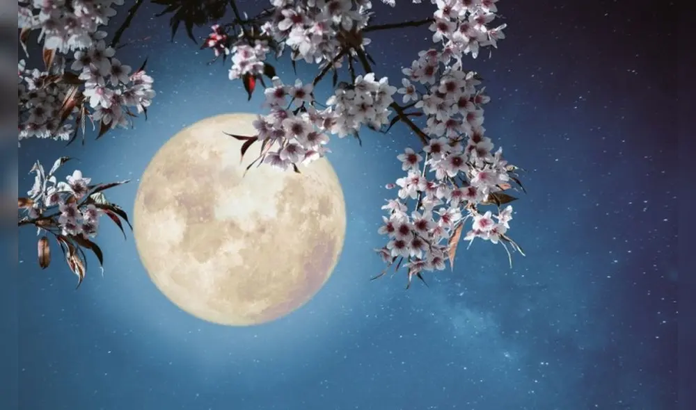 Superluna de las flores. Foto: Shutterstock.