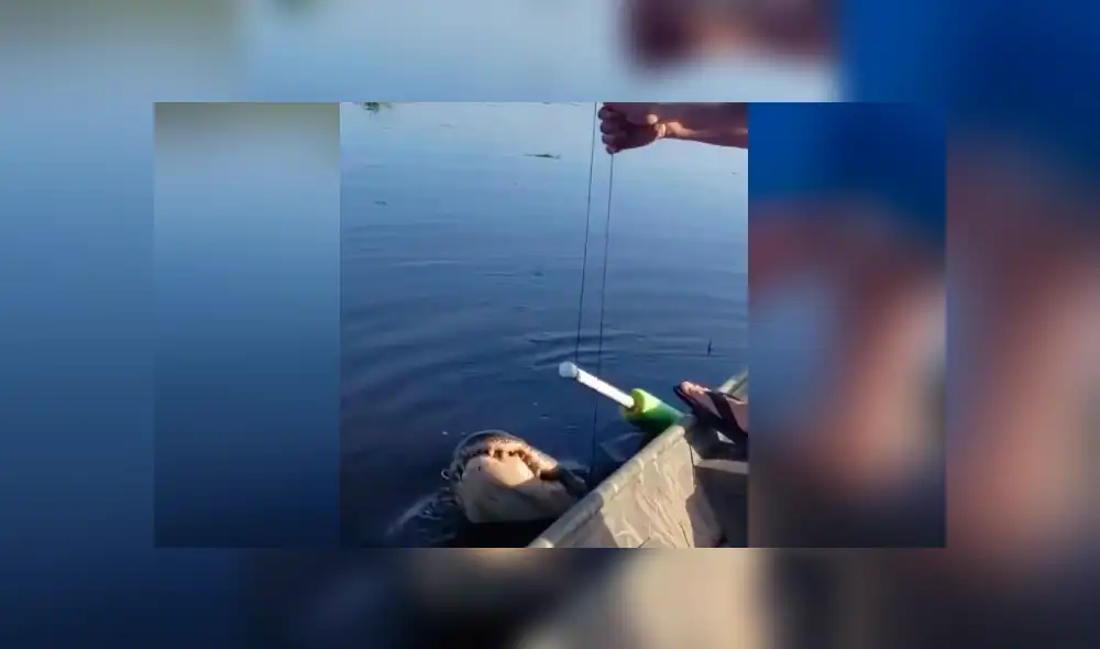 Desliza hacia la izquierda para ve el aterrador encuentro que se hizo viral en YouTube.