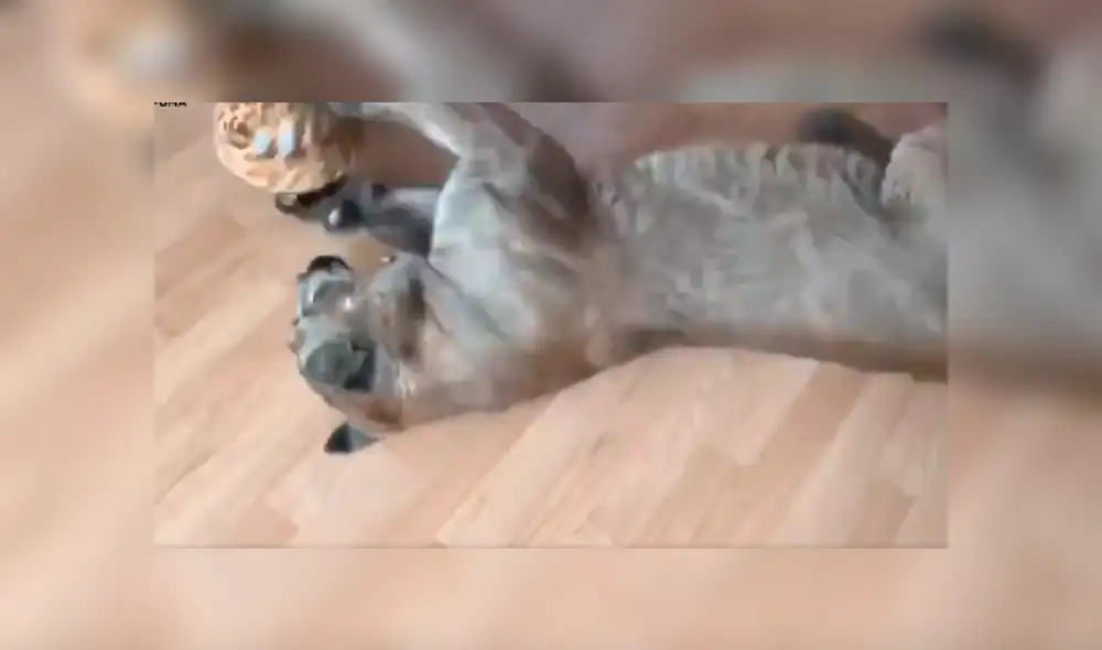 Desliza para ver el desenlace de este video viral de Facebook. Foto: Captura. Desliza para ver el desenlace de este video viral de Facebook. Foto: Captura.