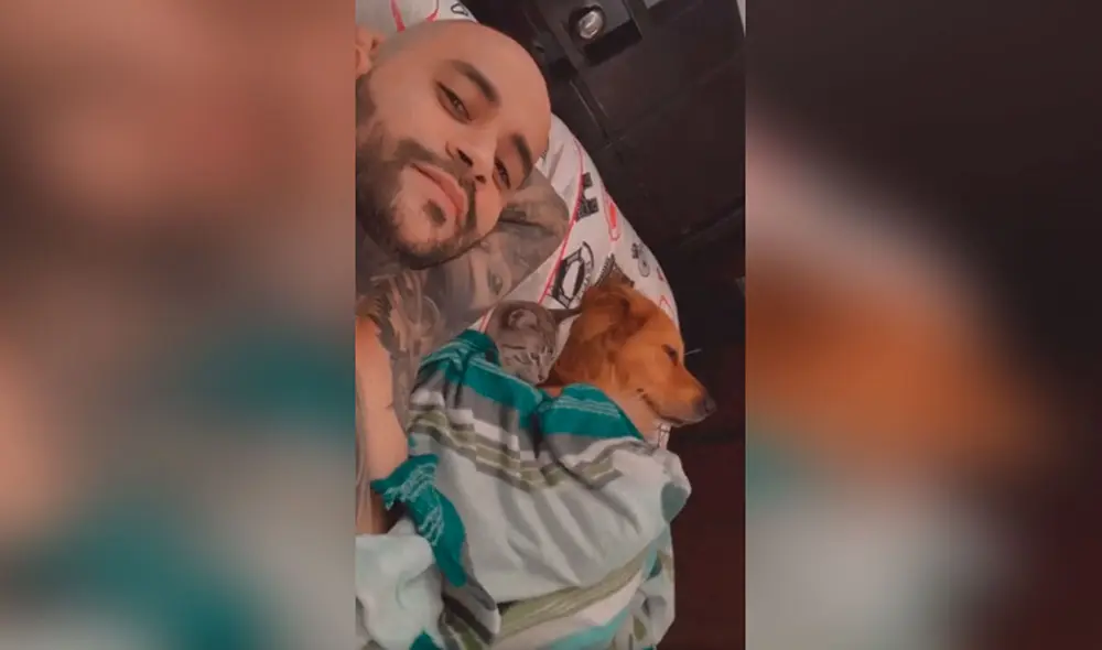 Desliza las imágenes hacia la izquierda para observar el amoroso momento de un joven junto a su gato y perro. Fotocaptura: TikTok. Desliza las imágenes hacia la izquierda para observar el amoroso momento de un joven junto a su gato y perro. Fotocaptura: TikTok.