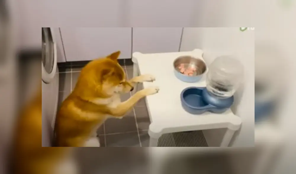 Desliza hacia la izquierda para ver las imágenes del viral de Facebook.