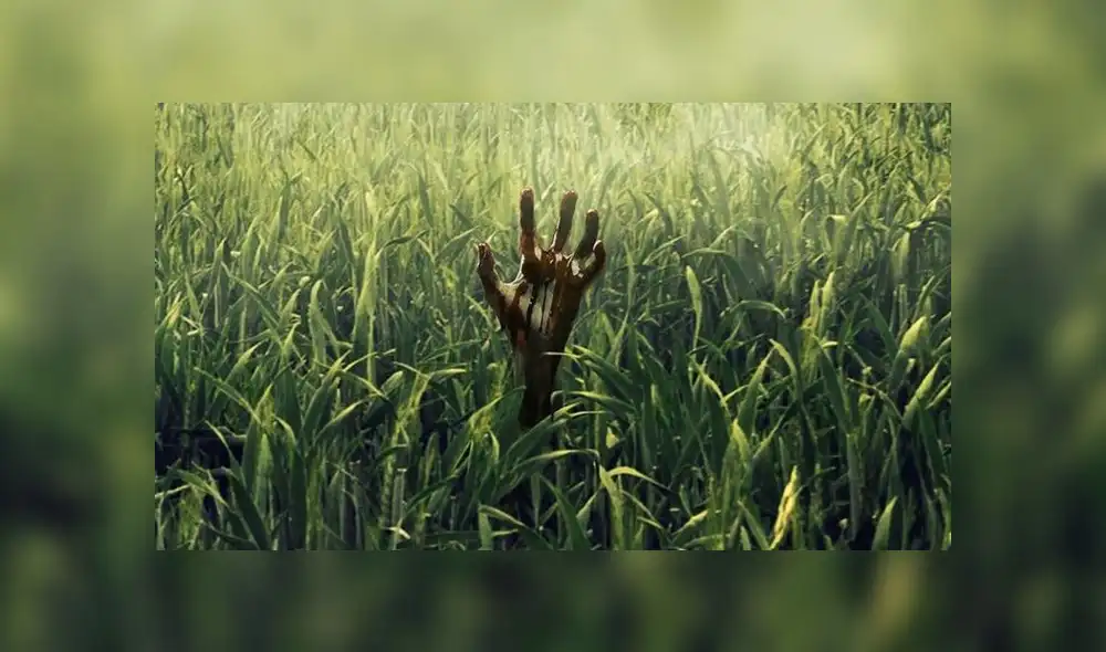 Netflix: películas de terror como La masacre de Texas | La Purga | En la hierba alta para ver en octubre