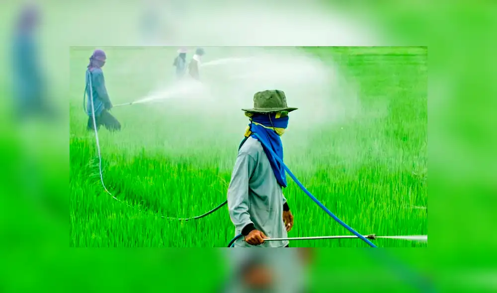 Sustancias cancerígenas son detectadas en reconocidas marcas de cerveza [FOTOS]