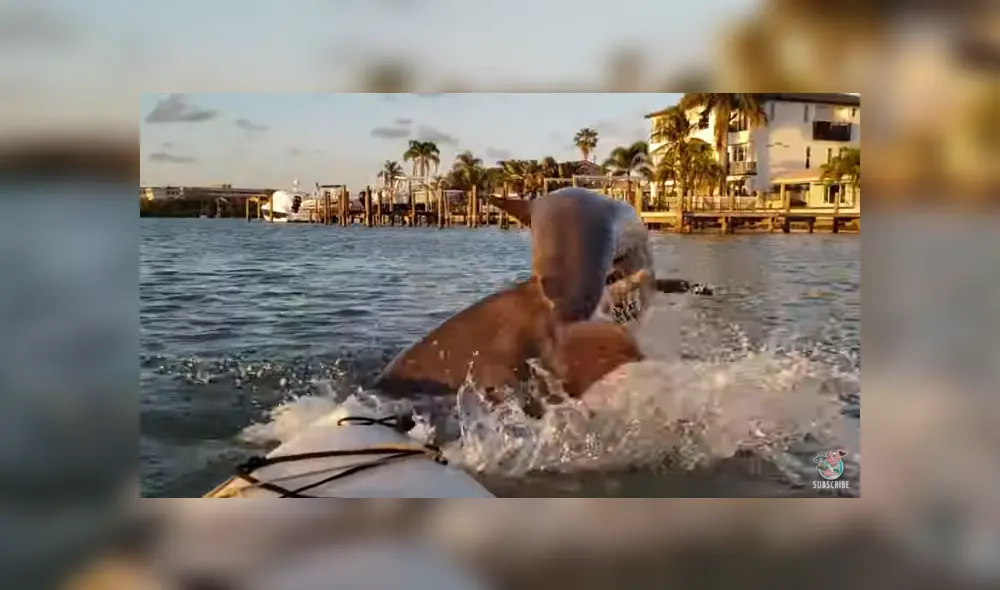 Desliza para ver los detalles del video viral publicado en YouTube. Foto: Captura.