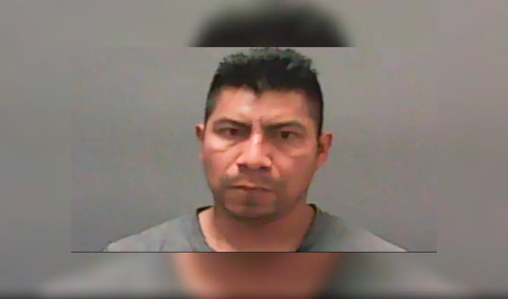 Lo captan maltratando animales y es sentenciado a libertad condicional [VIDEO] 