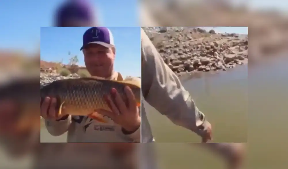 Desliza para ver los momentos más impactantes del curioso video que se hizo viral en YouTube.