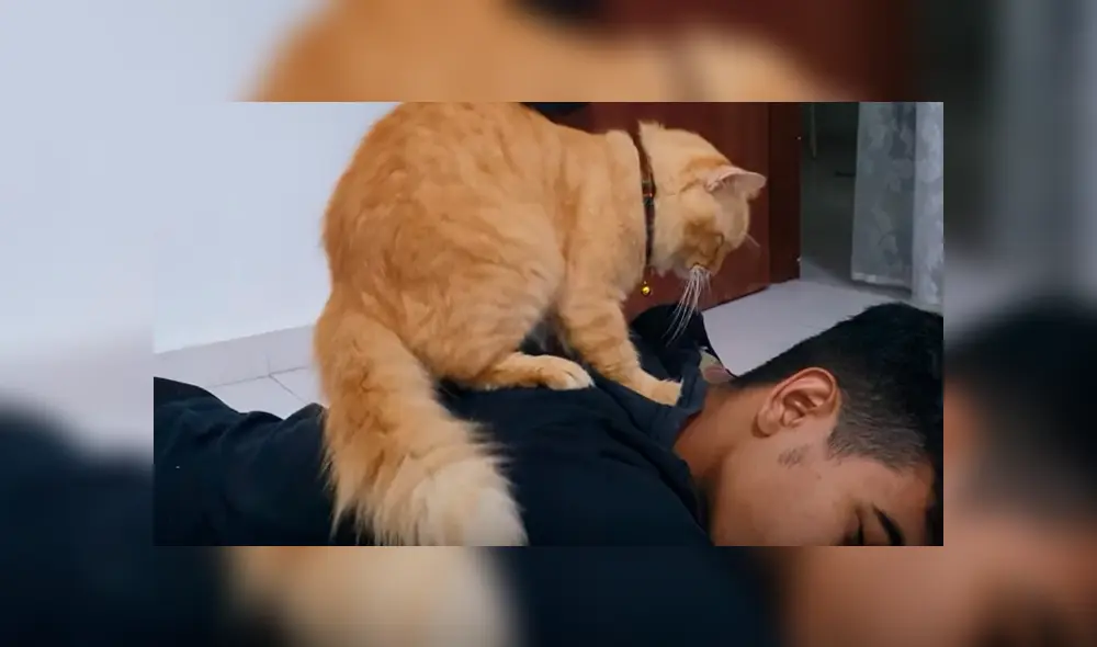 Desliza hacia la izquierda para ver más del video viral