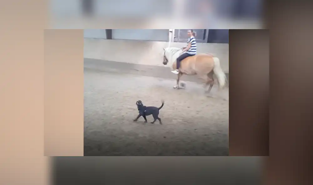 Desliza hacia la izquierda para ver las imágenes del viral de Facebook.