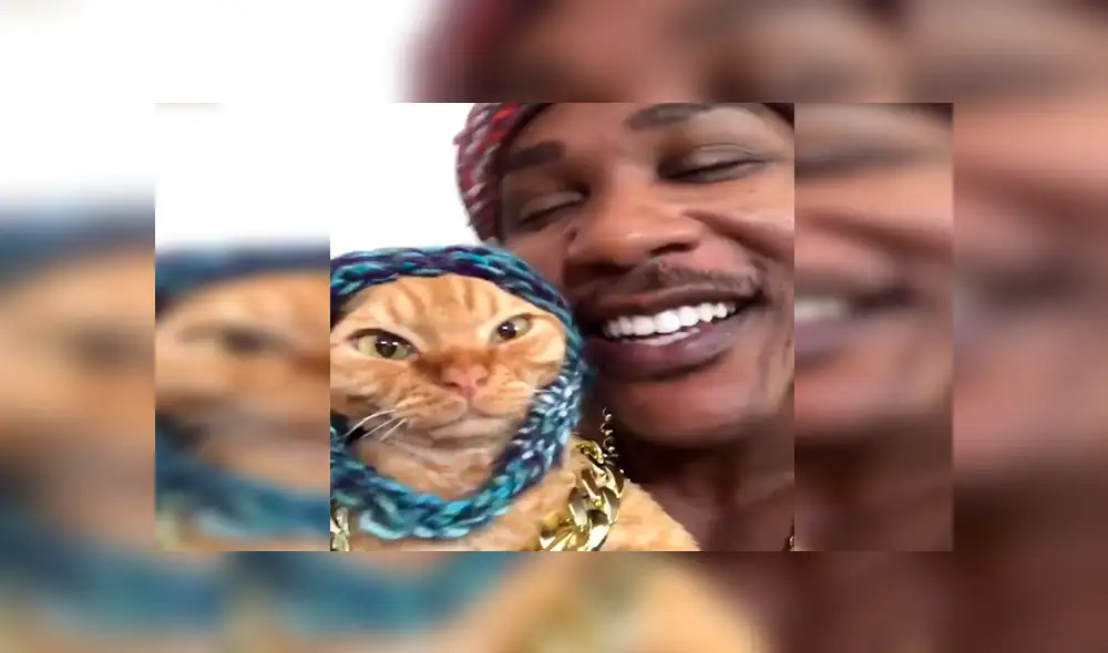 Facebook viral: joven juega con su pequeño gato y le dedica una canción de Drake a su propio estilo [VIDEO]