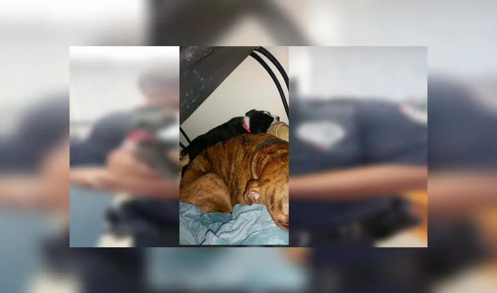 Desliza para ver las fotos que conmovieron a miles en Facebook. Foto: Captura.