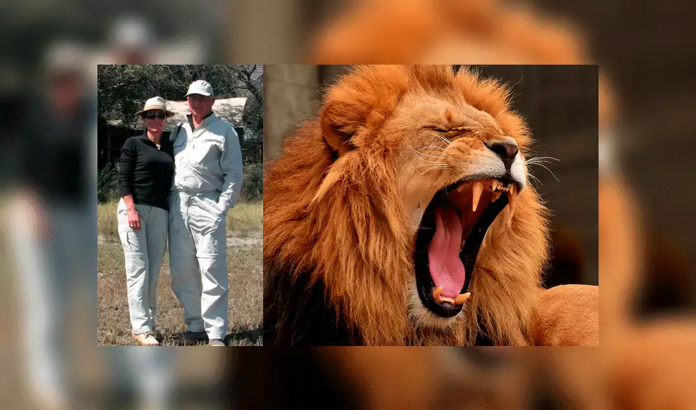 El hombre pasó por 10 operaciones para reconstruir su brazo tras el ataque. Foto: Composición / SWNS / Pixabay.