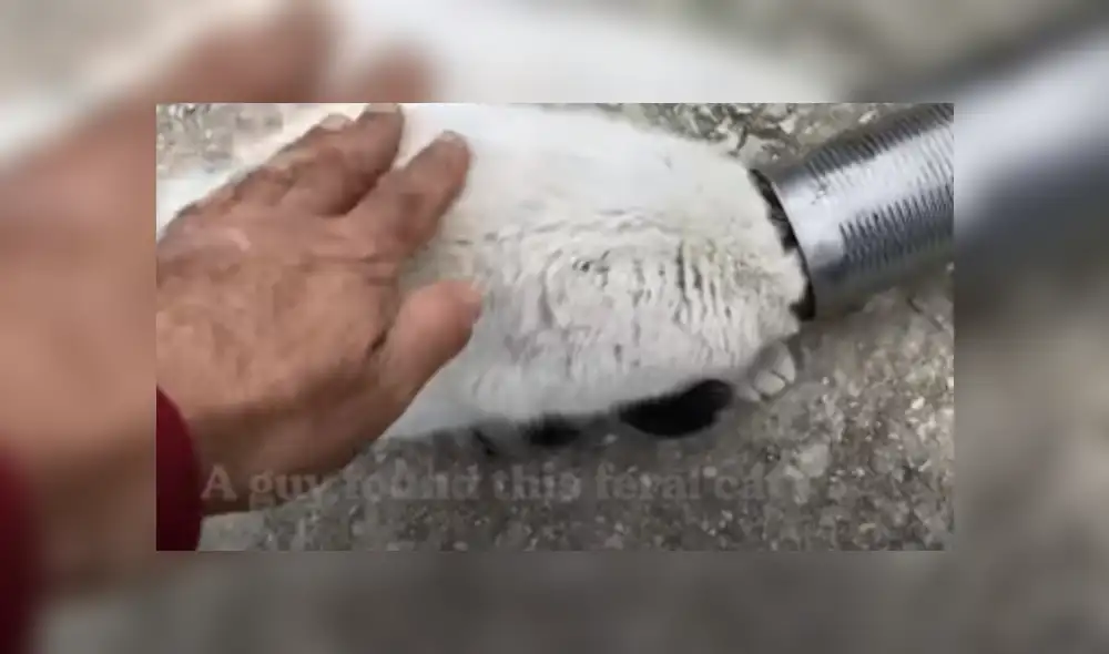 Desliza hacia la izquierda para ver más del video viral