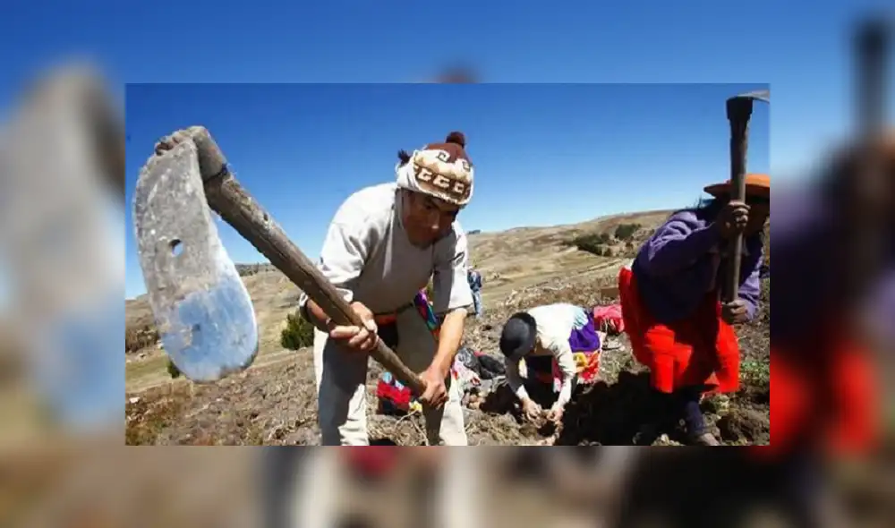 Pleno Agrario: Se aprobaron cambios a la ley que promueve mercados productivos Pleno Agrario: Se aprobaron cambios a la ley que promueve mercados productivos