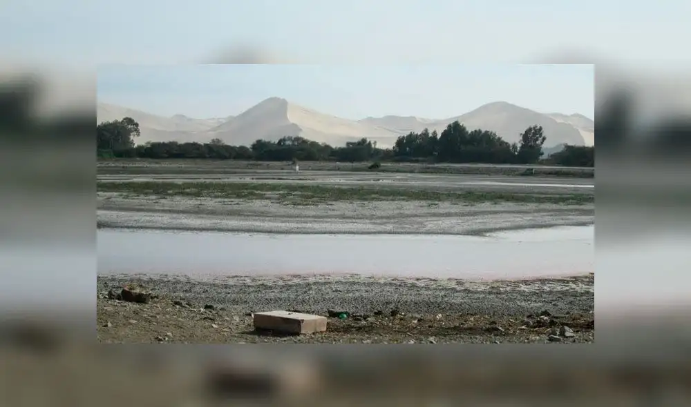 Saneamiento: EPS podrá comercializar aguas residuales crudas