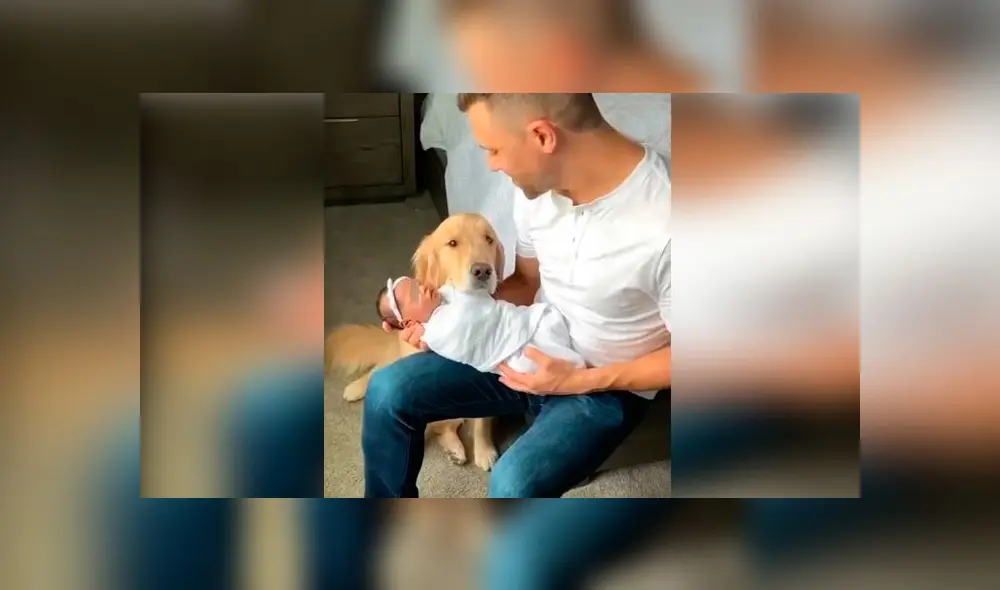 Desliza las imágenes para ver la emotiva escena que protagonizó un perro al conocer a la hija de su dueño. Foto: Woof Woof