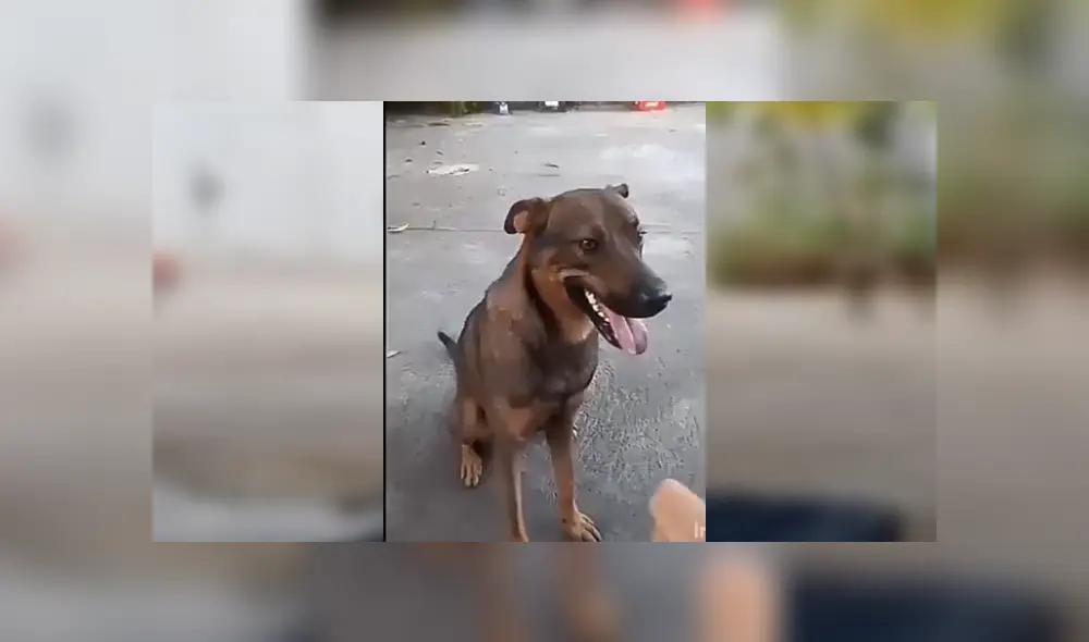 Desliza para ver los detalles del video viral publicado en YouTube. Foto: Captura. Desliza para ver los detalles del video viral publicado en YouTube. Foto: Captura.