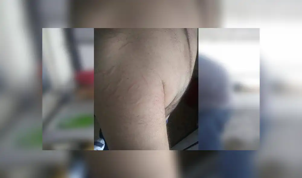 Facebook viral: señor encuentra a gato abandonado, lo lleva a su casa y sucede lo peor [VIDEO]