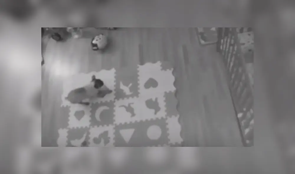 Desliza hacia la izquierda para ver el divertido video de Facebook protagonizado por un perro pug. Desliza hacia la izquierda para ver el divertido video de Facebook protagonizado por un perro pug.