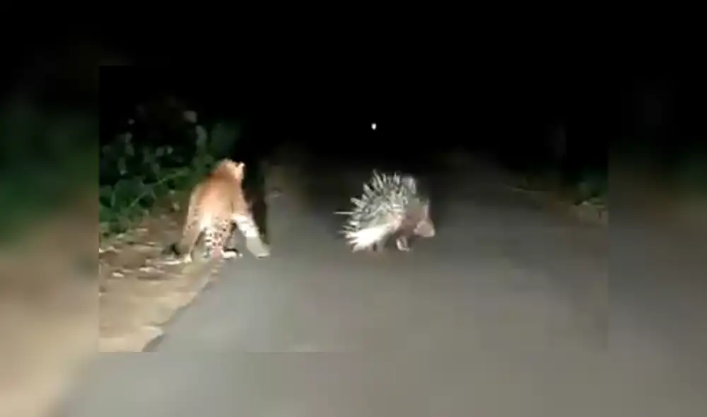 Desliza hacia la izquierda para ver las imágenes del viral de Facebook. Desliza hacia la izquierda para ver las imágenes del viral de Facebook.