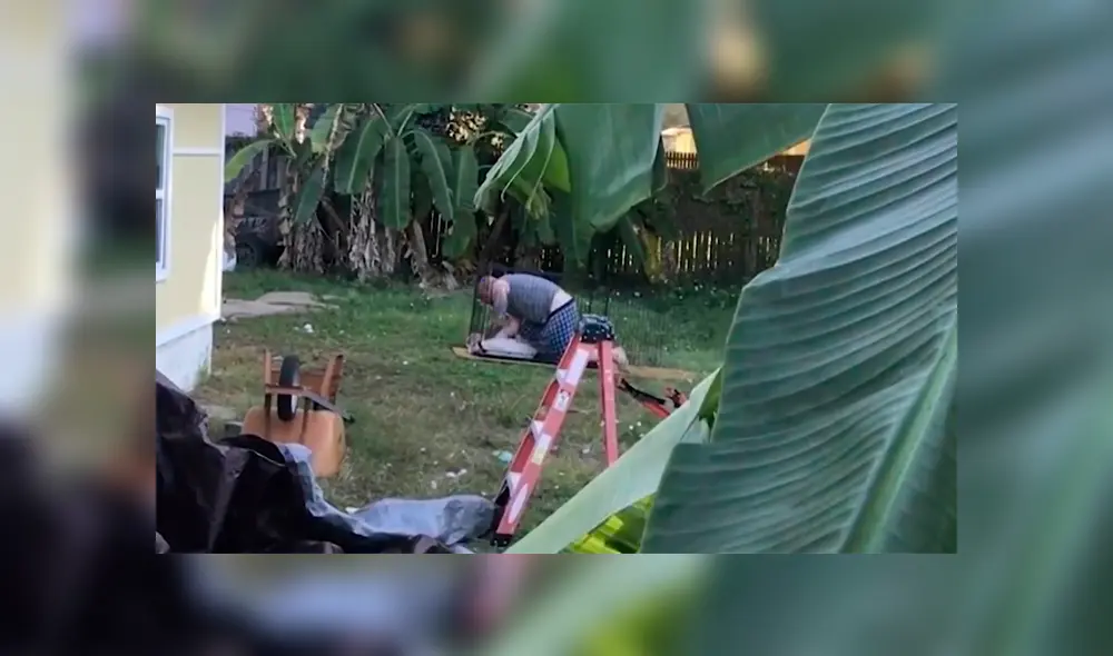 Investigan a hombre que deja inconsciente a su mascota al darle fuerte golpiza [VIDEO] 