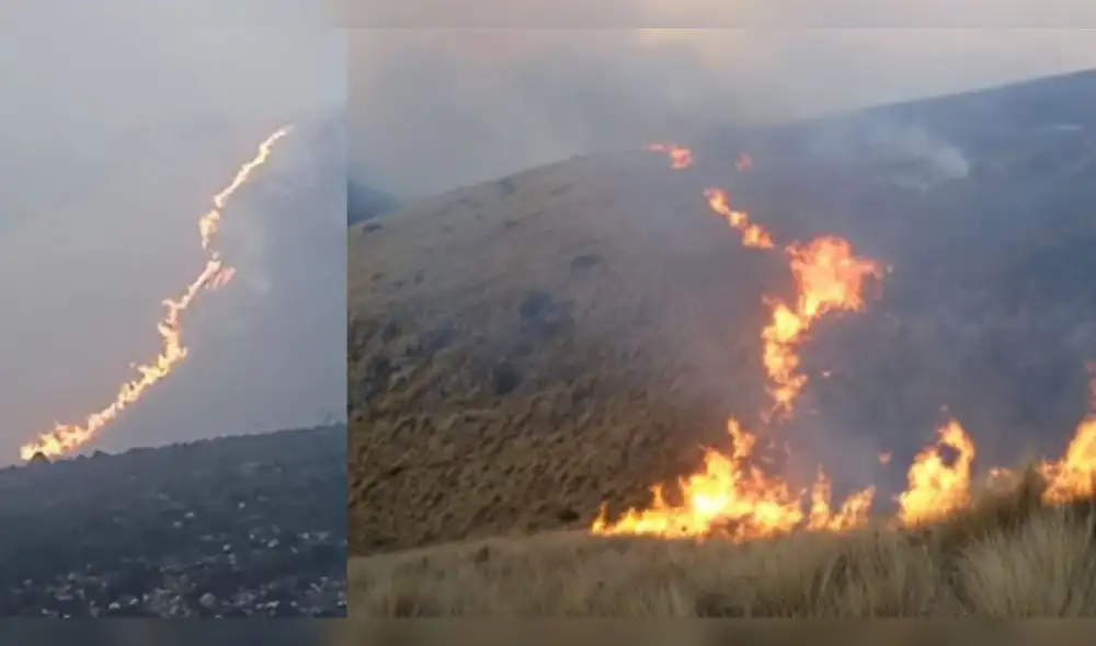 Incendios en Ayacucho arrasaron con flora y fauna. Foto: Global Ayacucho Incendios en Ayacucho arrasaron con flora y fauna. Foto: Global Ayacucho