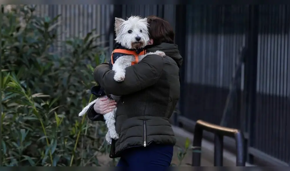 Créditos: EFE. Créditos: EFE.