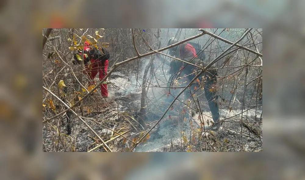 Los presidentes de Chile, Sebastián Piñera, y de Paraguay, Mario Abdó, ofrecieron el jueves ayuda humanitaria a Bolivia. Foto: EFE. Los presidentes de Chile, Sebastián Piñera, y de Paraguay, Mario Abdó, ofrecieron el jueves ayuda humanitaria a Bolivia. Foto: EFE.