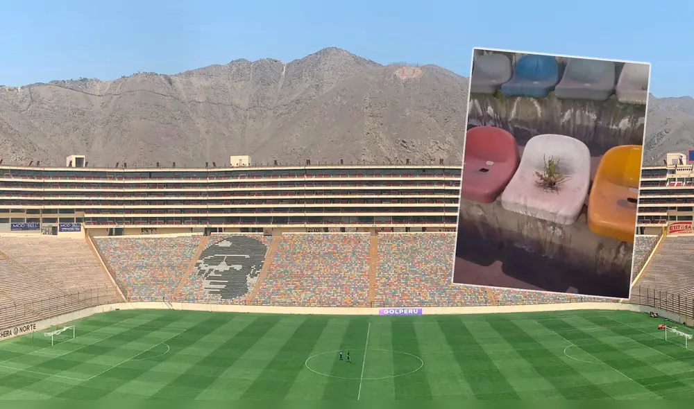 Copa Libertadores 2019: prensa extranjera destaca planta que nació en butaca del estadio Monumental.