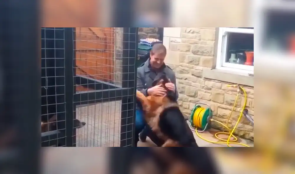 YouTube viral: perro se reencuentra con su dueño que lo cuidó de bebé y reacción del animal conmueve [VIDEO]