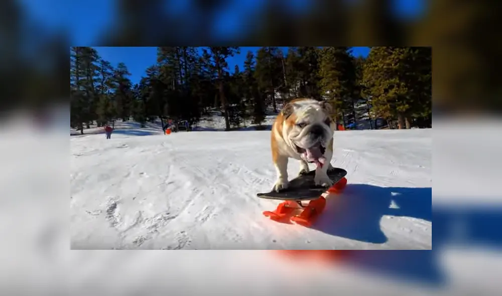 Desliza para ver los detalles del video viral de YouTube. Foto: Captura.