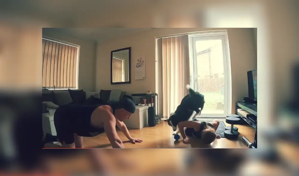 Video es viral en YouTube. El can no soportó que sus dueños lo ignoren e hizo de todo para llamar su atención. Fotocaptura: YouTube Video es viral en YouTube. El can no soportó que sus dueños lo ignoren e hizo de todo para llamar su atención. Fotocaptura: YouTube