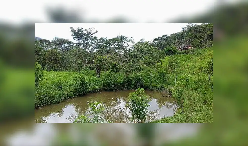 San Martín: registran octava área de conservación privada San Martín: registran octava área de conservación privada