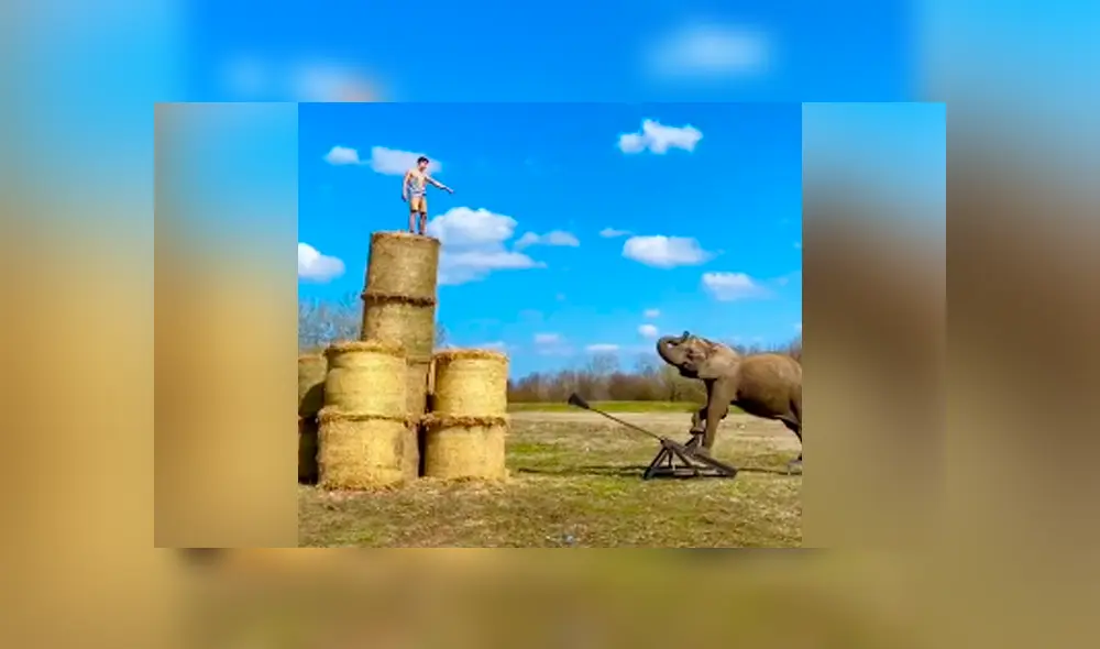 Desliza para ver todas las imágenes de TikTok. Foto: captura