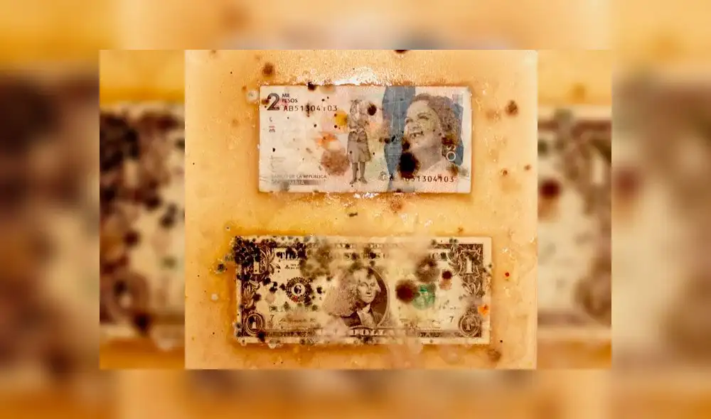 Microbios en billetes