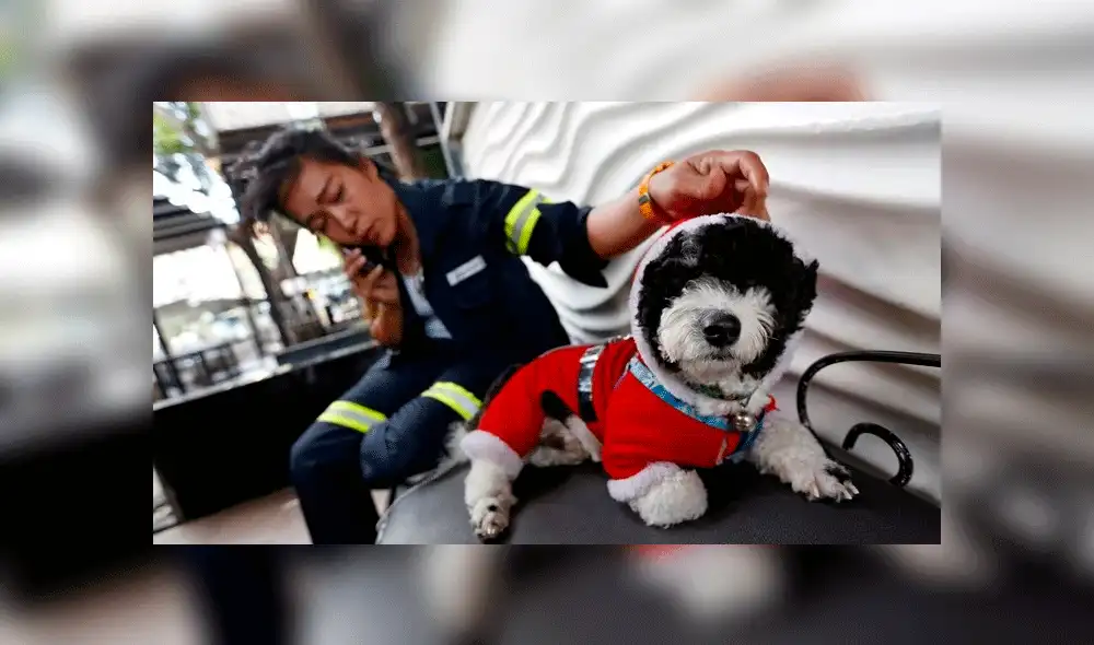 Barrendera y su perro se vuelven viral en redes sociales. Foto: Reuters Barrendera y su perro se vuelven viral en redes sociales. Foto: Reuters