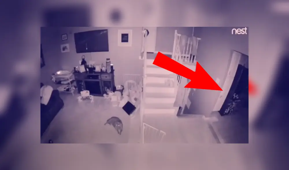 Video es viral en YouTube. El hombre quedó con los ‘pelos de punta’, luego de ver el video de vigilancia que mostró lo que sucede en su casa cuando es de noche. Foto: Captura. Video es viral en YouTube. El hombre quedó con los ‘pelos de punta’, luego de ver el video de vigilancia que mostró lo que sucede en su casa cuando es de noche. Foto: Captura.