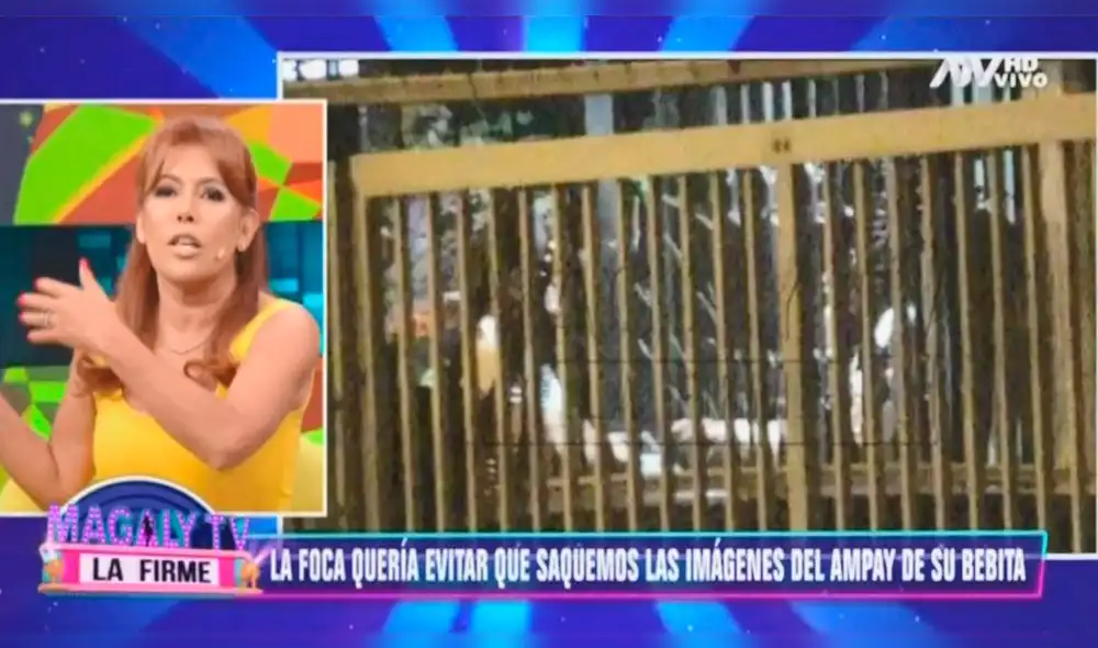 Magaly confesó en vivo que Farfán quiso censurar el ampay de Ivana y Mario