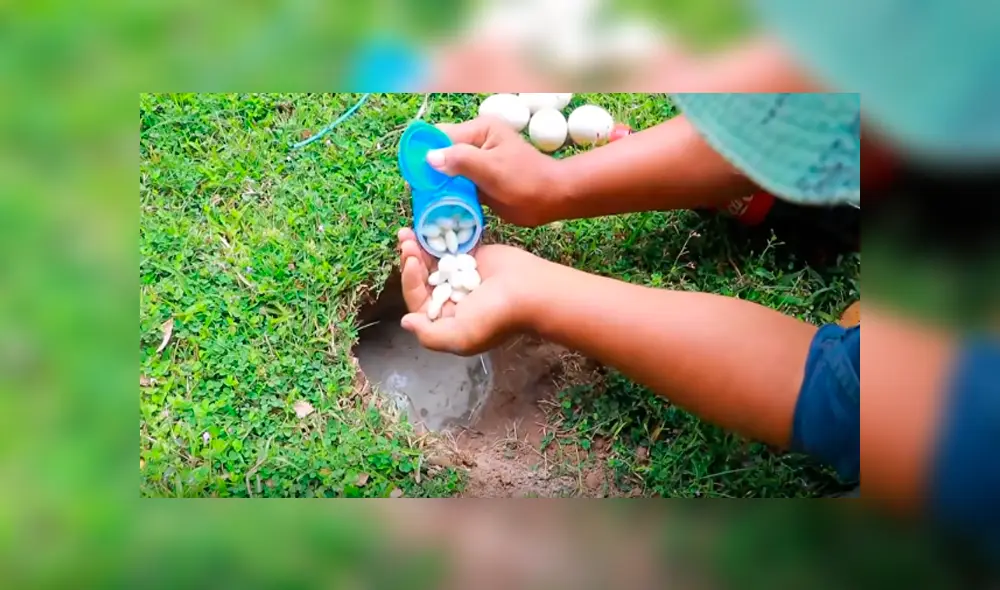 Desliza hacia la izquierda para ver a los animales que emergieron del hoyo. Video es viral en YouTube. Desliza hacia la izquierda para ver a los animales que emergieron del hoyo. Video es viral en YouTube.