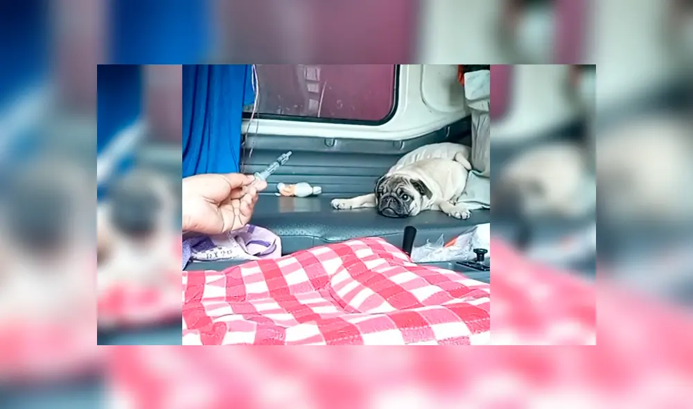 Desliza para ver los detalles del video viral publicado en Facebook. Foto: Captura.