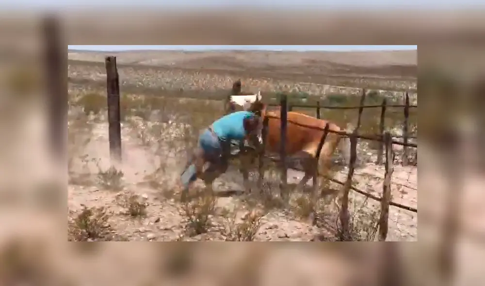 Desliza para ver las imágenes compartidas en YouTube.