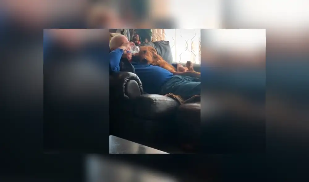 Desliza las imágenes hacia la izquierda para apreciar la conmovedora escena protagonizada por un anciano y su perro. Desliza las imágenes hacia la izquierda para apreciar la conmovedora escena protagonizada por un anciano y su perro.